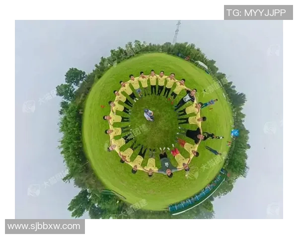 重庆飞盘队运营策略深度分析与成功经验分享