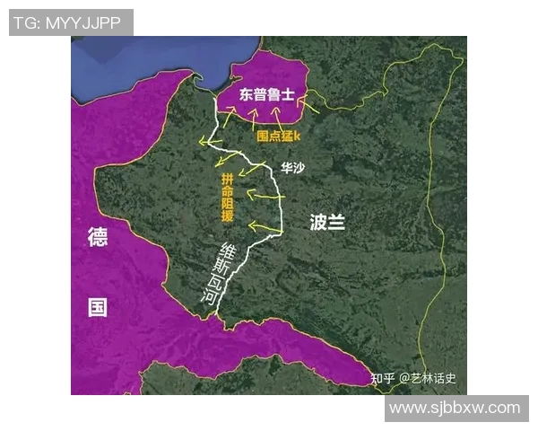 俄罗斯与波兰301战役的历史回顾与战术分析