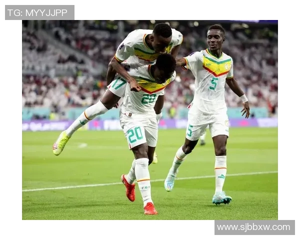 南非世法国对决南非球队精彩回顾与赛后分析